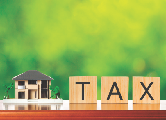 House icon with a tax symbol — tramites e identificaciones